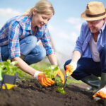 Gartenarbeit smarter machen: Diese Tools erleichtern dir die Pflege