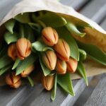 Wenn Gärten Geschichten erzählen: Die stille Faszination der Tulpen im Jahreslauf